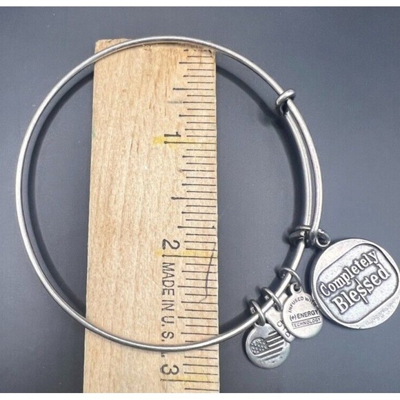 Alex and Ani Silver‎ Bangle Bracelet Completely Blessed Energy Charms Adjustable - Picture 10 of 10